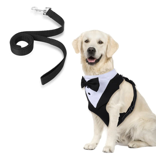 Conjunto de arnés y correa elegante para perro con esmoquin