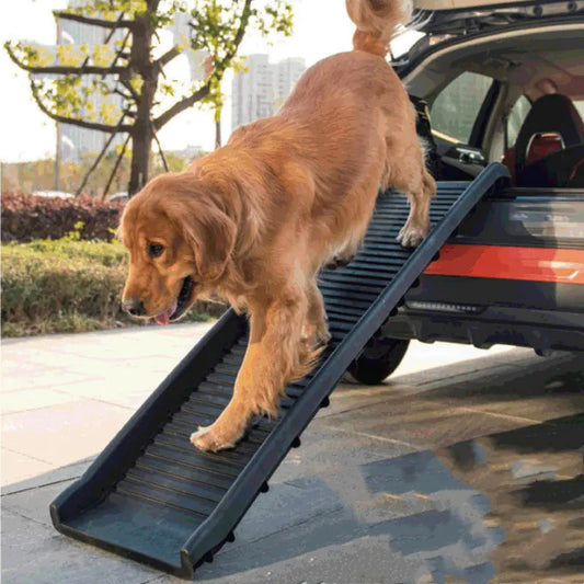 SafeStep Pet Folding Ramp