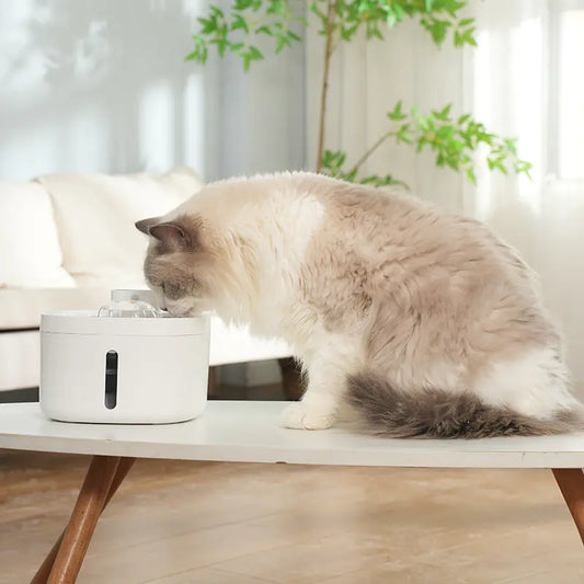 Silent Sip Pet Water Station