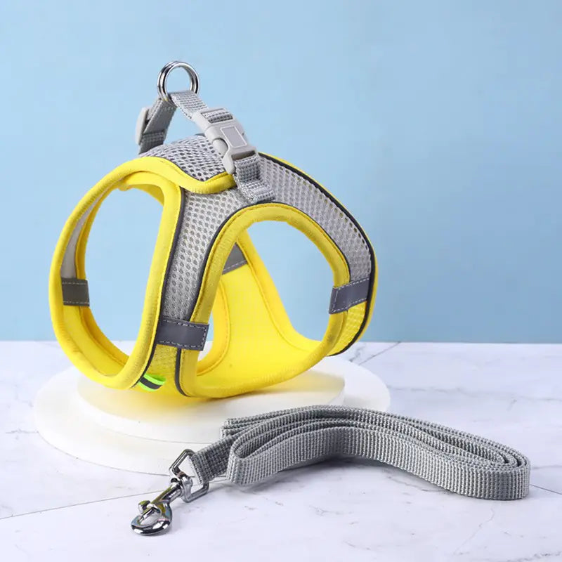 Reflective Safety Pet Harness Combo