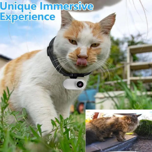 Outdoor Pet Journey Camera