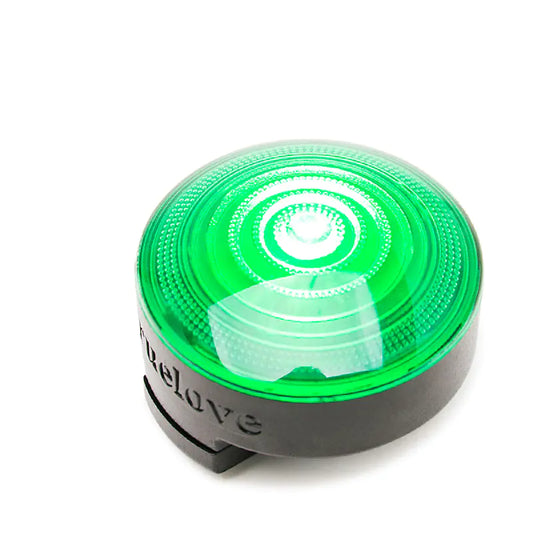 Night-time LED Safety Dog Collar