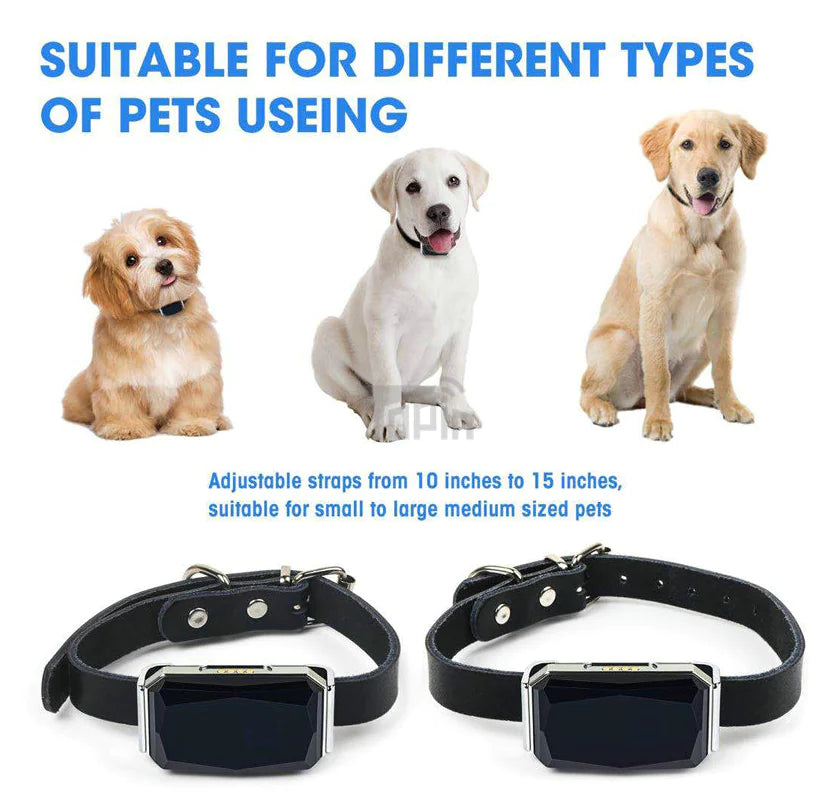 Pet Safety GPS Tracker