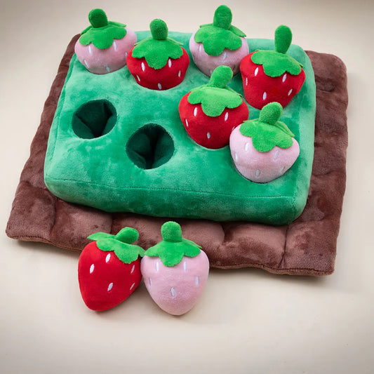 Pet Peekaboo Plush Toy