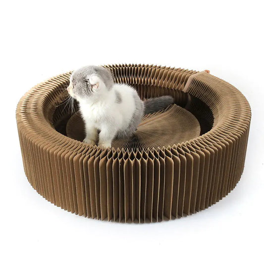 Comfort Cat Lounge