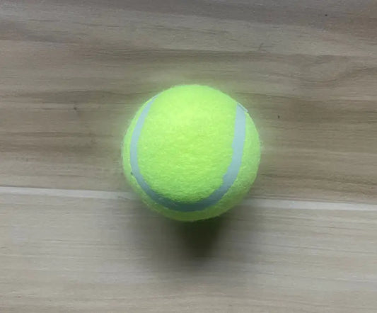 Outdoor Fun Dog Ball Launcher